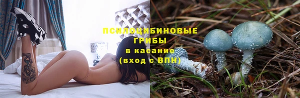 мдпв Ладушкин